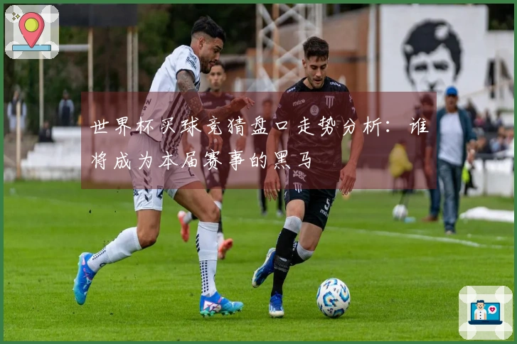 世界杯买球竞猜盘口走势分析：谁将成为本届赛事的黑马