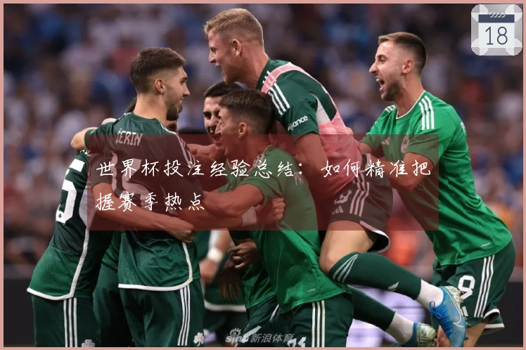 世界杯投注经验总结：如何精准把握赛季热点