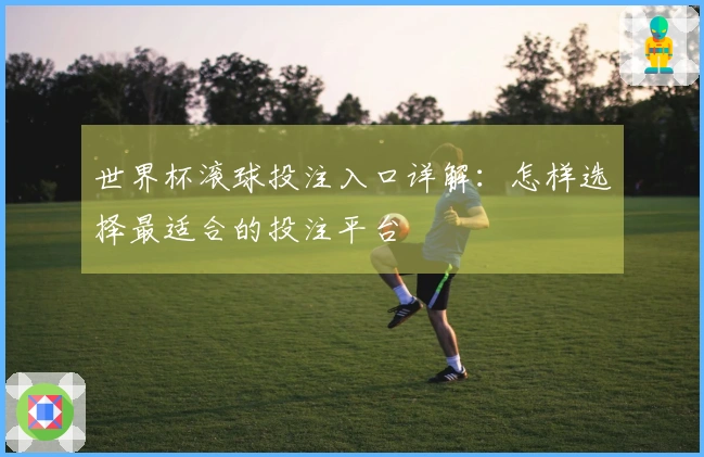 世界杯滚球投注入口详解：怎样选择最适合的投注平台