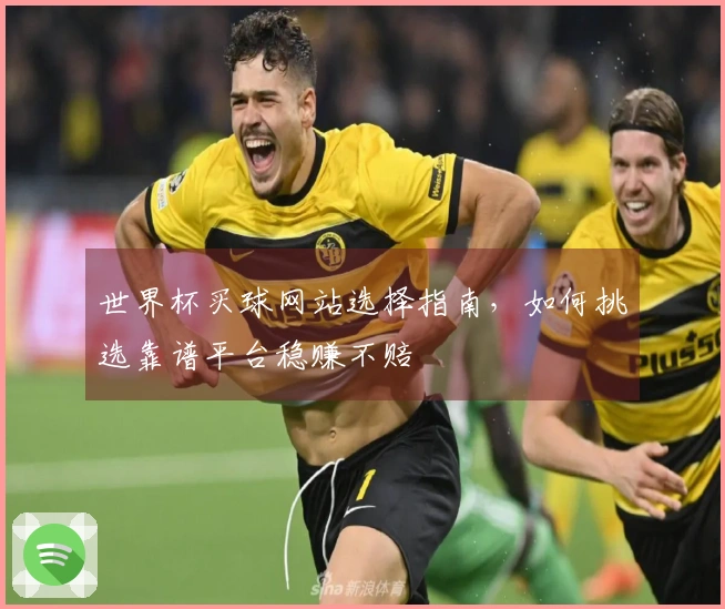 世界杯买球网站选择指南，如何挑选靠谱平台稳赚不赔
