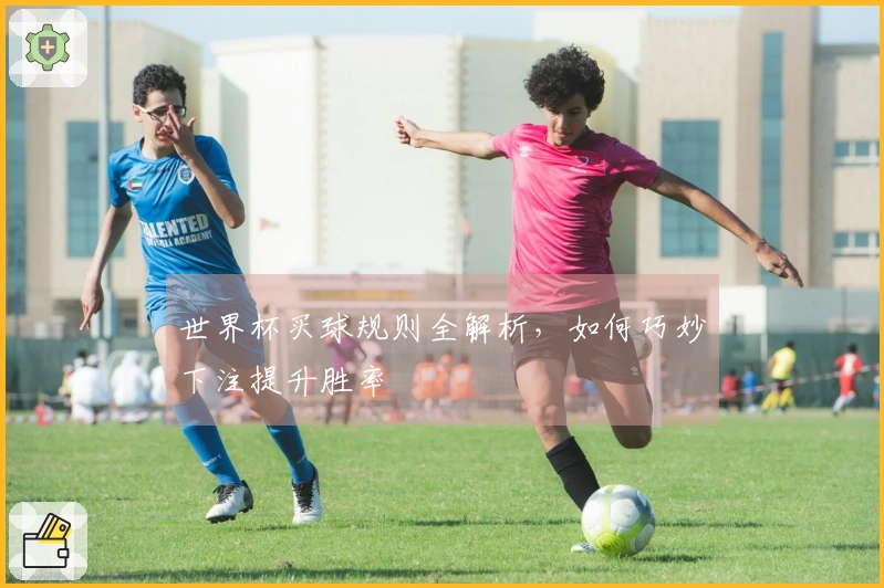 世界杯买球规则全解析，如何巧妙下注提升胜率