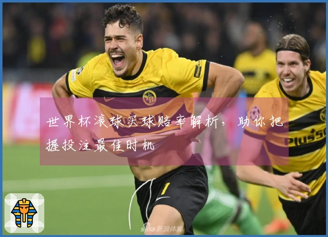世界杯滚球买球赔率解析，助你把握投注最佳时机