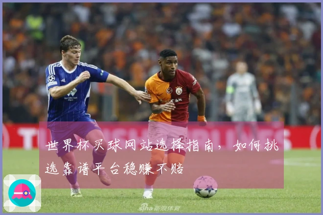 世界杯买球网站选择指南，如何挑选靠谱平台稳赚不赔