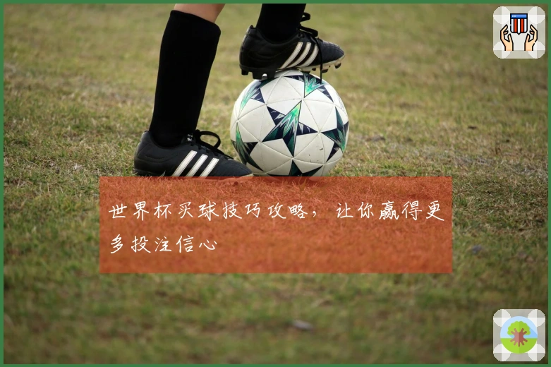 世界杯买球技巧攻略，让你赢得更多投注信心