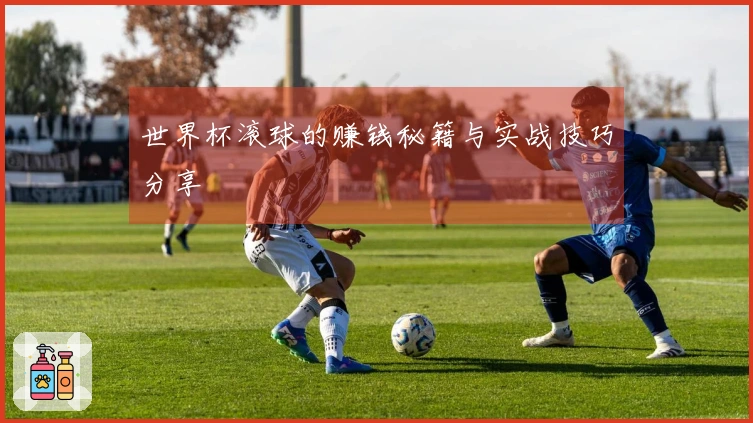 世界杯滚球的赚钱秘籍与实战技巧分享