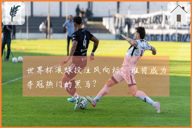 世界杯滚球投注风向标：谁将成为夺冠热门的黑马？